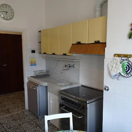 Sunflower * 레반토