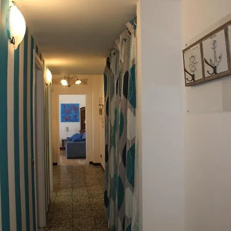 Sunflower * 레반토