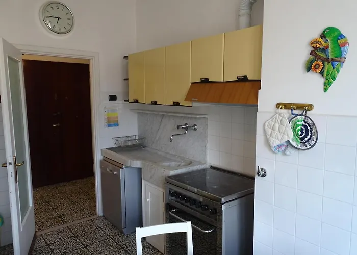 Sunflower * ليفانتو