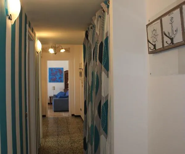 Sunflower * ليفانتو