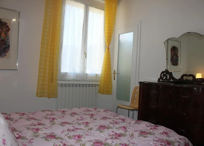 Sunflower ليفانتو